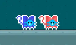 Red and Blue Cats image