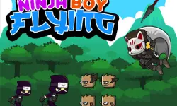 Ninja Boy Flying image