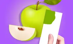 Color Match 3D Game image