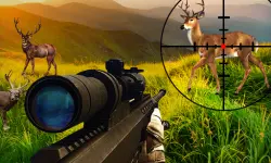 Wild Hunter Sniper Buck image